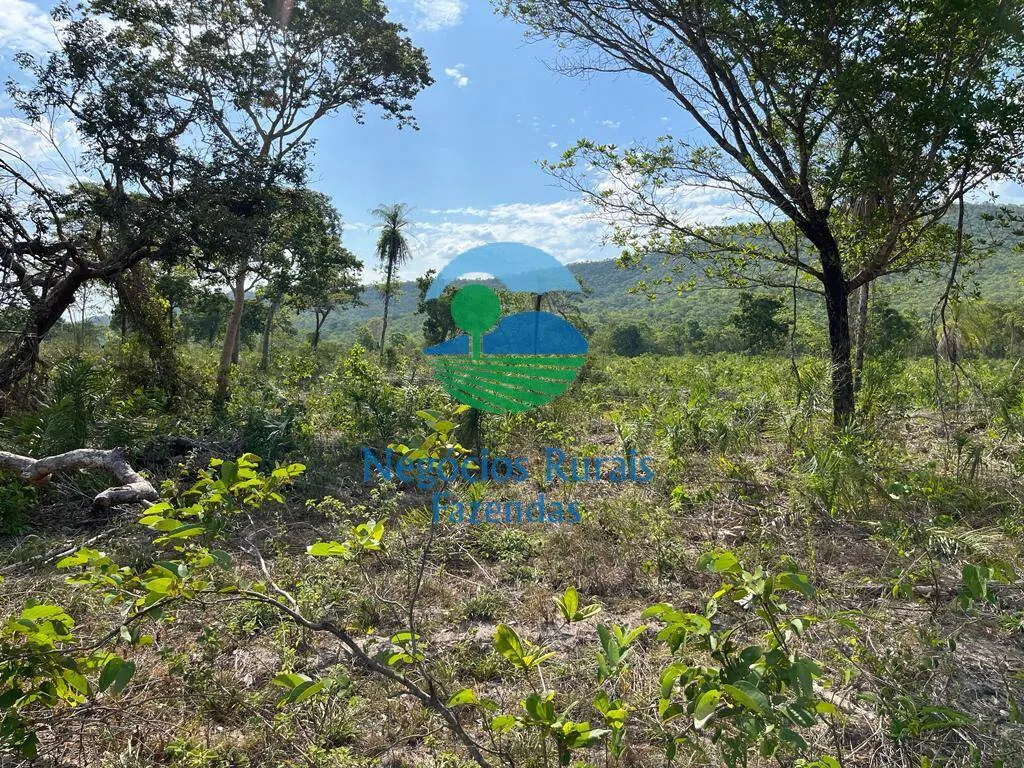 Fazenda à venda de 484 ha em Jaú do Tocantins, TO, Brasil