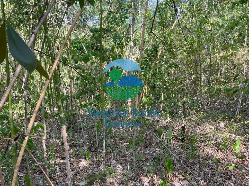 Fazenda à venda de 484 ha em Jaú do Tocantins, TO, Brasil
