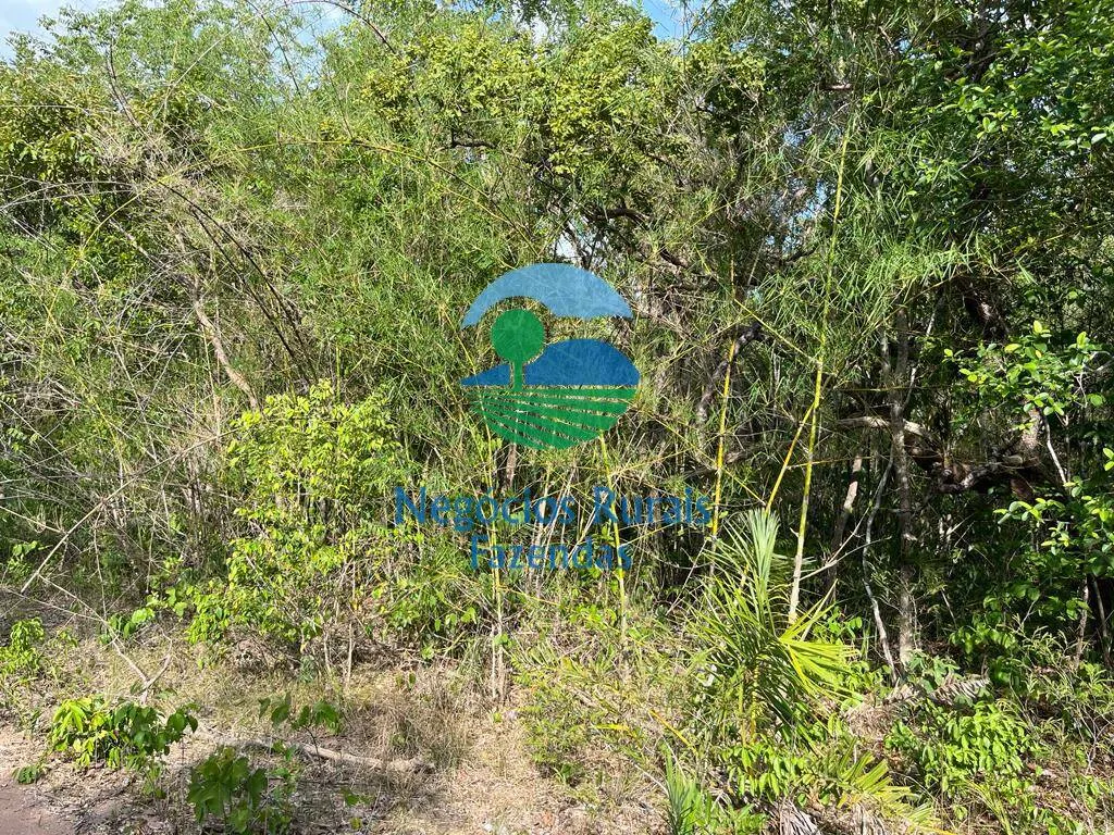 Fazenda à venda de 484 ha em Jaú do Tocantins, TO, Brasil