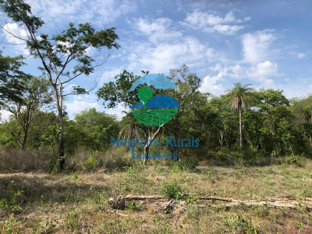 Fazenda à venda de 484 ha em Jaú do Tocantins, TO, Brasil