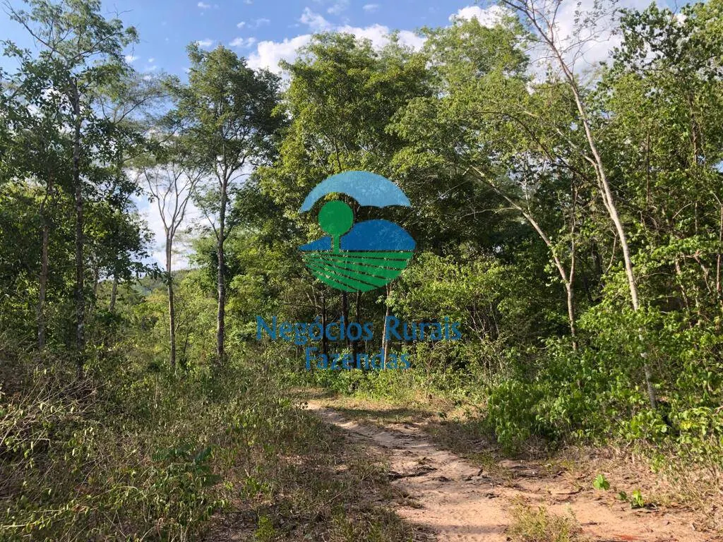 Fazenda à venda de 484 ha em Jaú do Tocantins, TO, Brasil