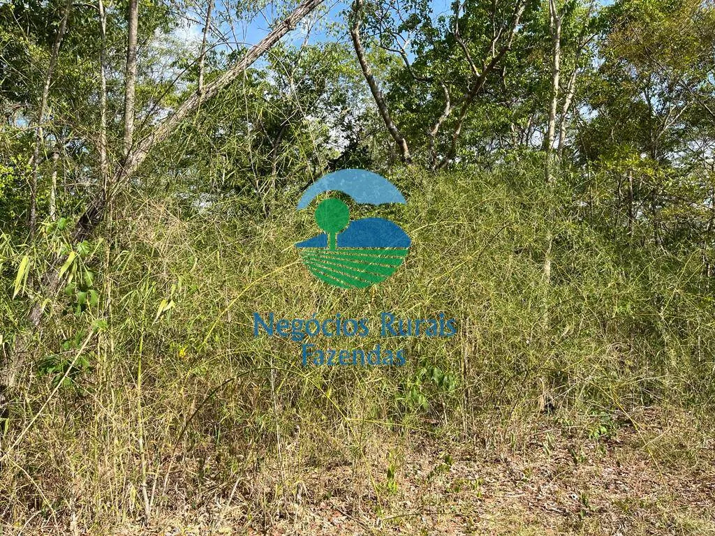 Fazenda à venda de 484 ha em Jaú do Tocantins, TO, Brasil