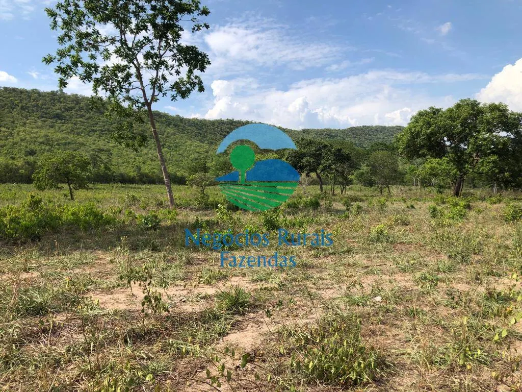 Fazenda à venda de 484 ha em Jaú do Tocantins, TO, Brasil
