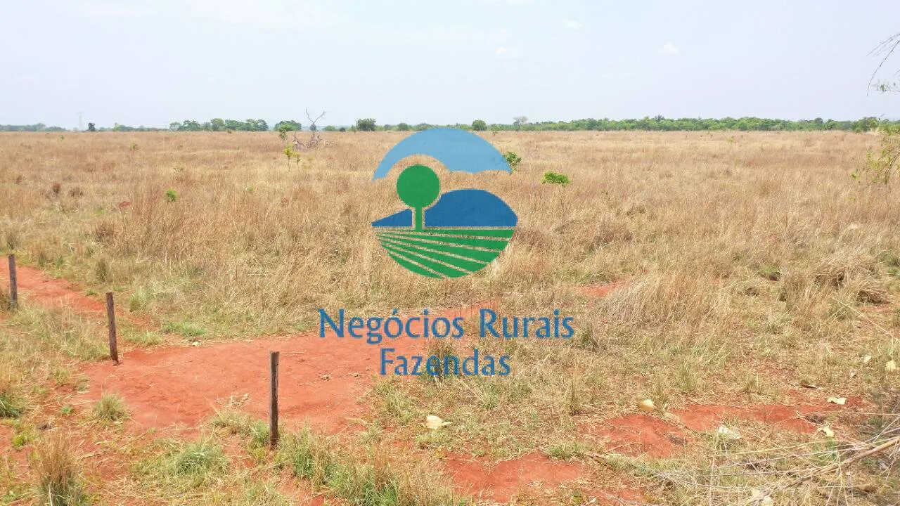 Farm for sale of 1,878 acres in Palmeirópolis, TO, Brazil
