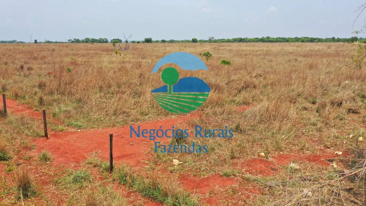 Farm for sale of 1,878 acres in Palmeirópolis, TO, Brazil