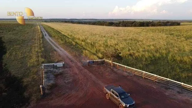 Fazenda à venda de 800 ha em Água Boa, MT, Brasil