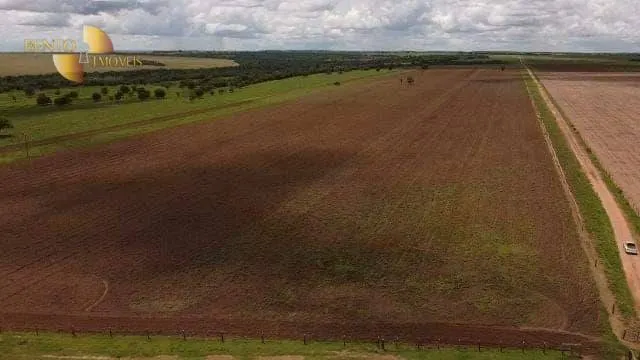 Fazenda à venda de 800 ha em Água Boa, MT, Brasil