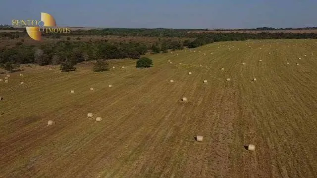 Fazenda à venda de 800 ha em Água Boa, MT, Brasil