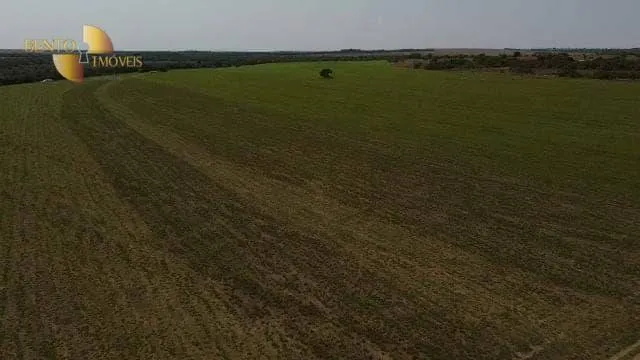 Fazenda à venda de 800 ha em Água Boa, MT, Brasil