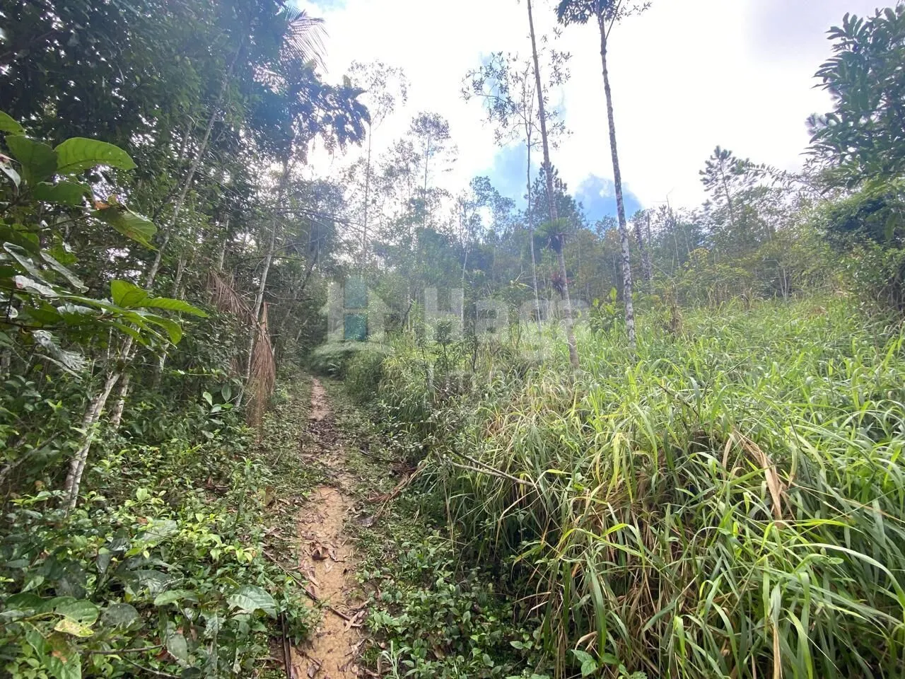 Chácara à venda de 7 ha em Nova Trento, SC, Brasil