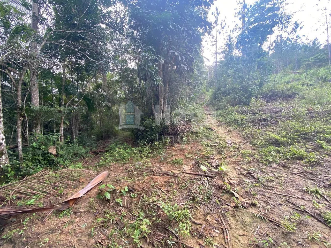 Chácara à venda de 7 ha em Nova Trento, SC, Brasil