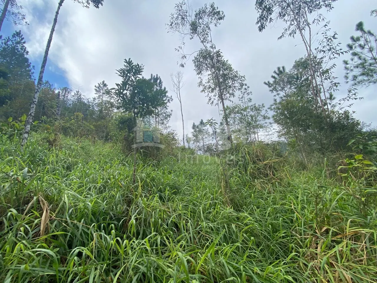 Chácara à venda de 7 ha em Nova Trento, SC, Brasil
