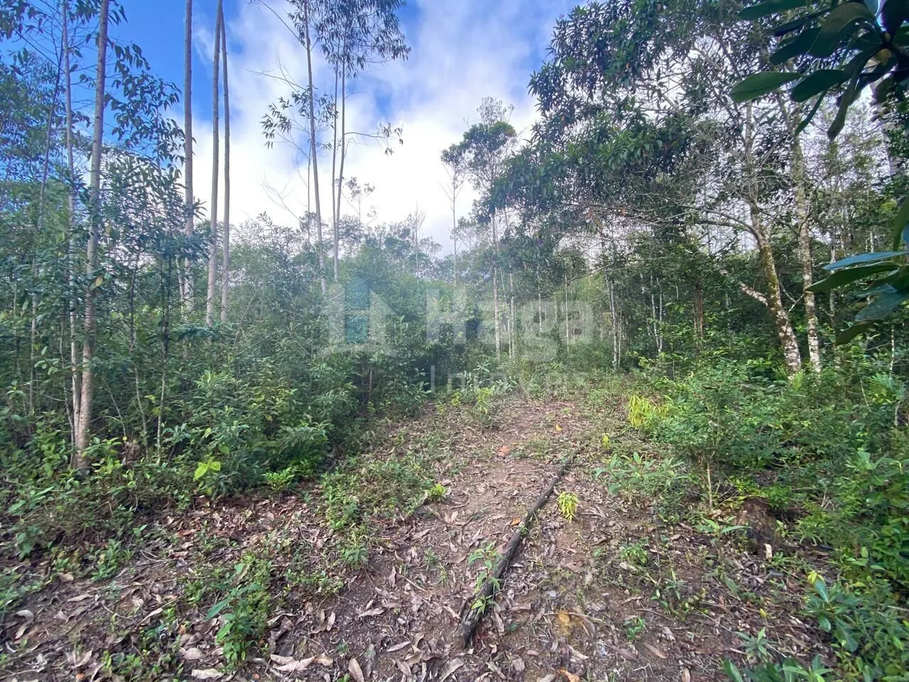 Chácara à venda de 7 ha em Nova Trento, SC, Brasil
