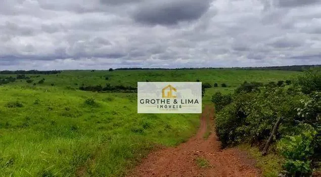 Fazenda à venda e para Arrendar de 1.074 ha em Pedro Afonso, TO, Brasil