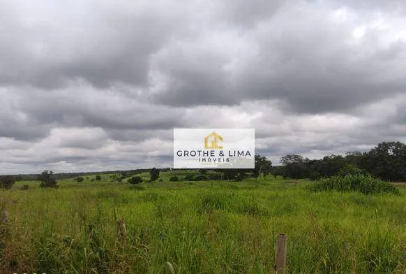 Fazenda à venda e para Arrendar de 1.074 ha em Pedro Afonso, TO, Brasil
