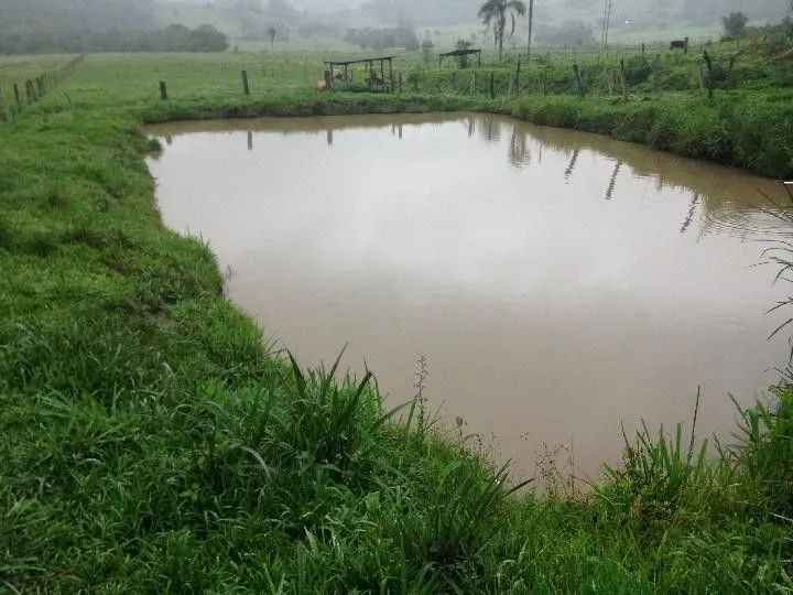 Terreno à venda de 2 ha em Santo Antônio da Patrulha, RS, Brasil