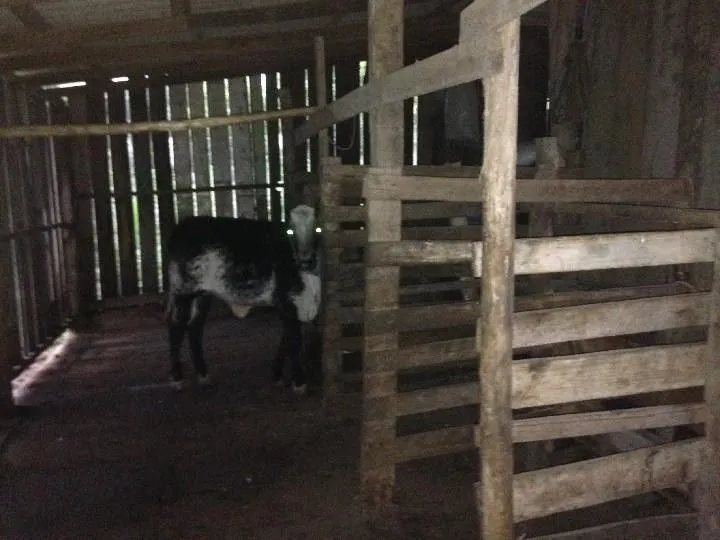 Terreno à venda de 2 ha em Santo Antônio da Patrulha, RS, Brasil