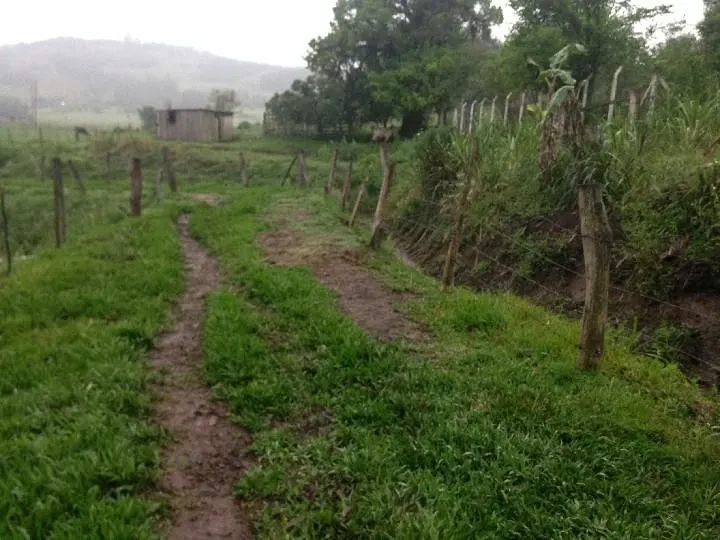 Terreno à venda de 2 ha em Santo Antônio da Patrulha, RS, Brasil