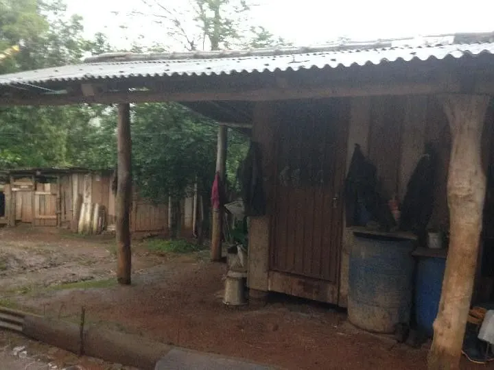 Terreno à venda de 2 ha em Santo Antônio da Patrulha, RS, Brasil