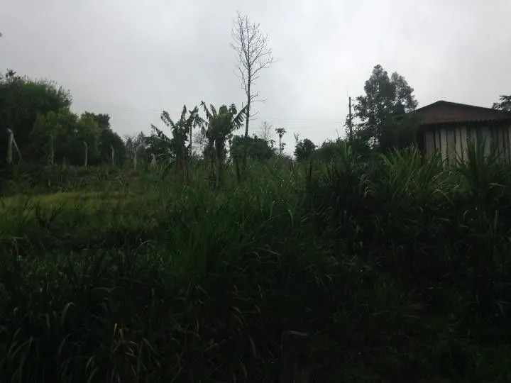 Terreno à venda de 2 ha em Santo Antônio da Patrulha, RS, Brasil