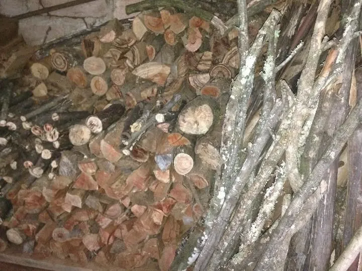 Terreno à venda de 2 ha em Santo Antônio da Patrulha, RS, Brasil