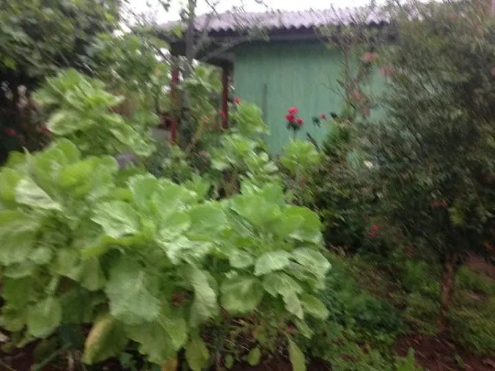 Terreno à venda de 2 ha em Santo Antônio da Patrulha, RS, Brasil