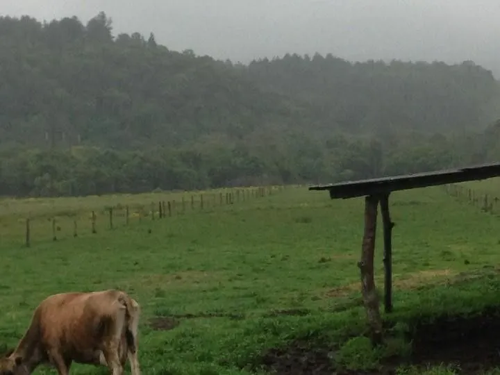 Terreno à venda de 2 ha em Santo Antônio da Patrulha, RS, Brasil