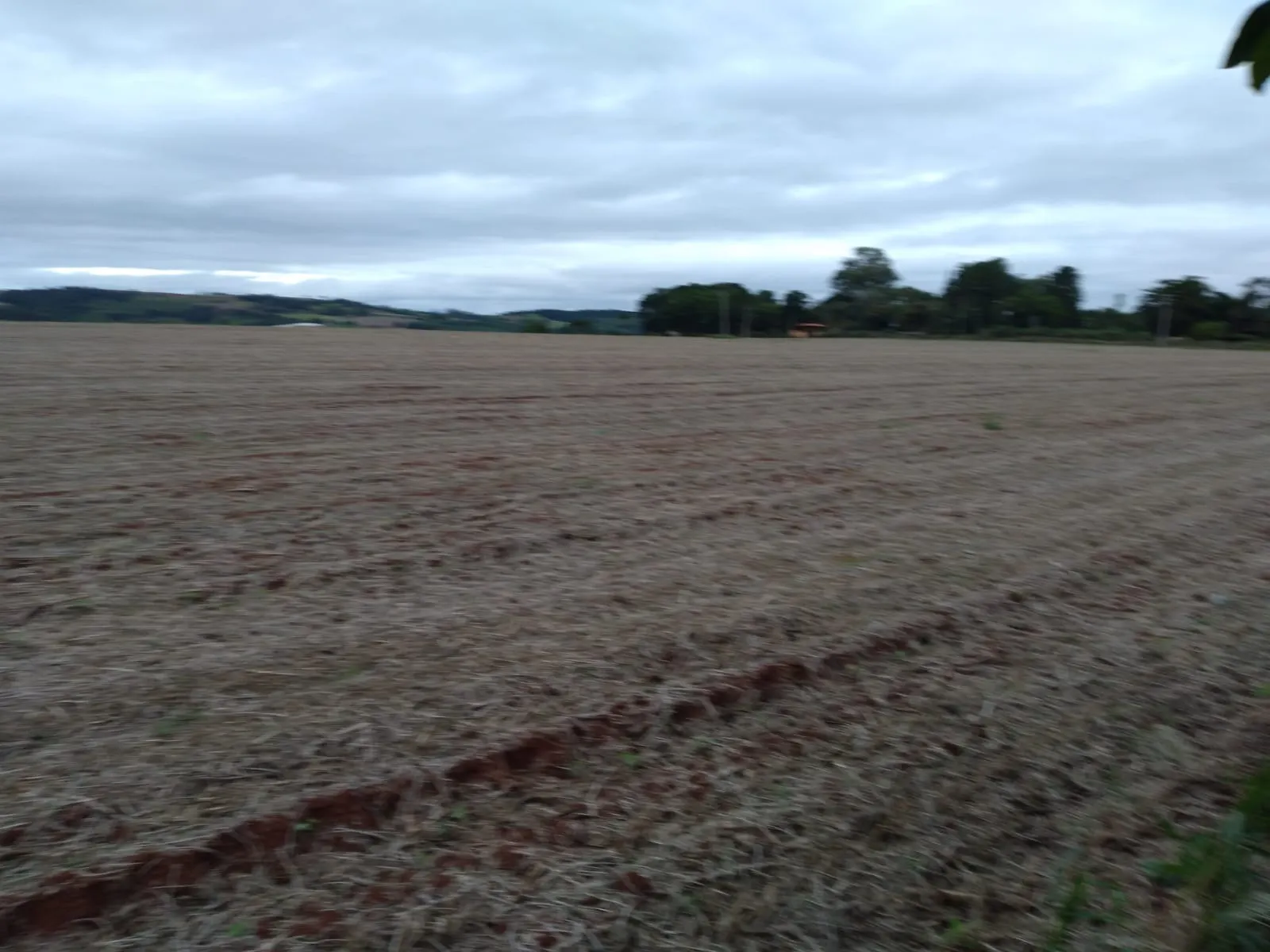 Small farm for sale of 155 acres in Tatuí, SP, Brazil
