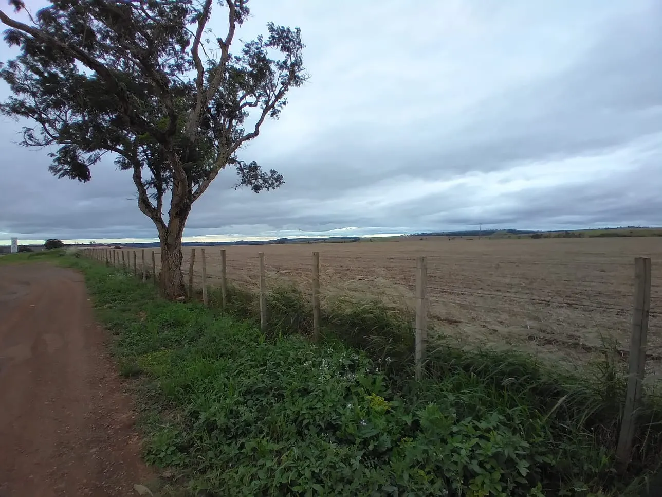 Small farm for sale of 155 acres in Tatuí, SP, Brazil