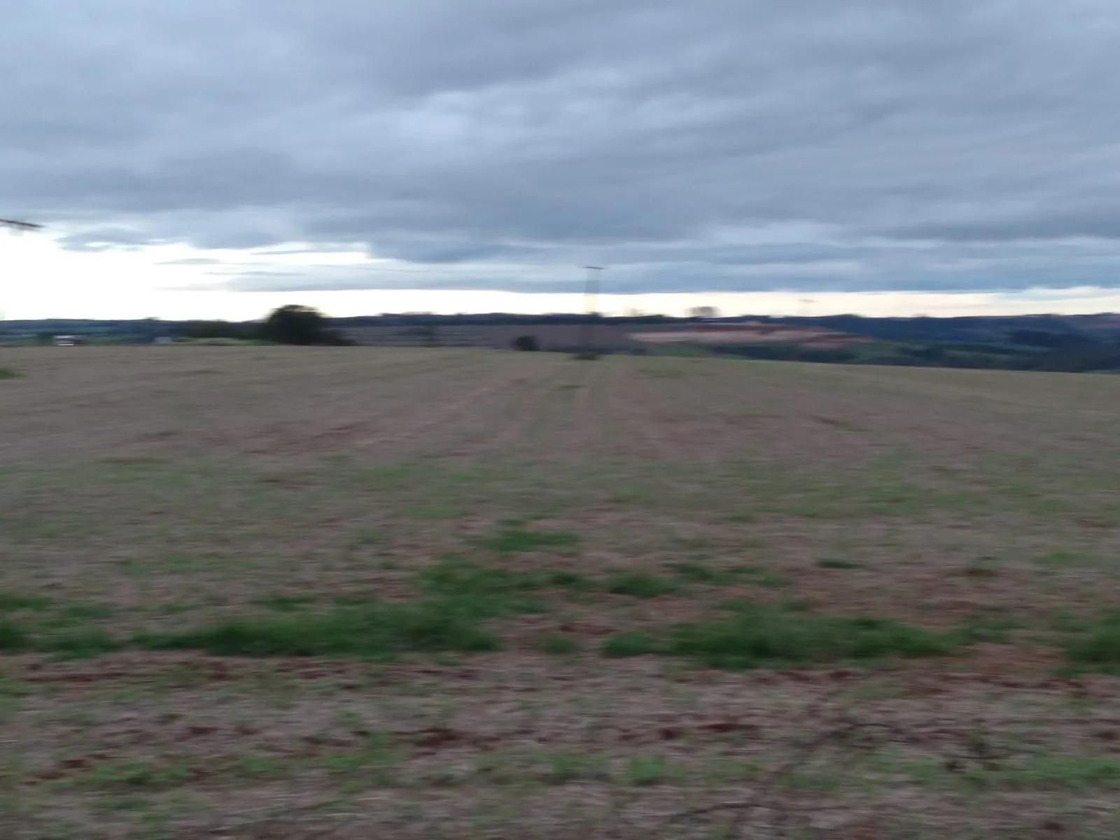 Small farm for sale of 155 acres in Tatuí, SP, Brazil