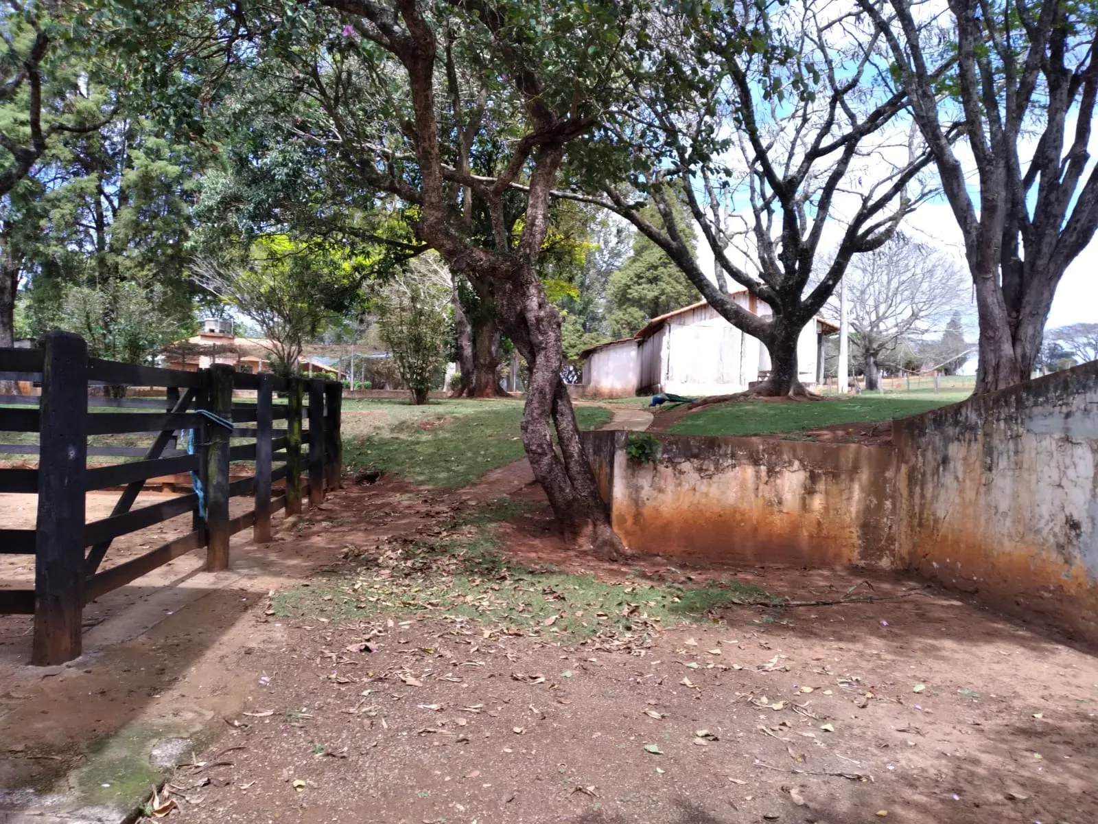 Small farm for sale of 155 acres in Tatuí, SP, Brazil