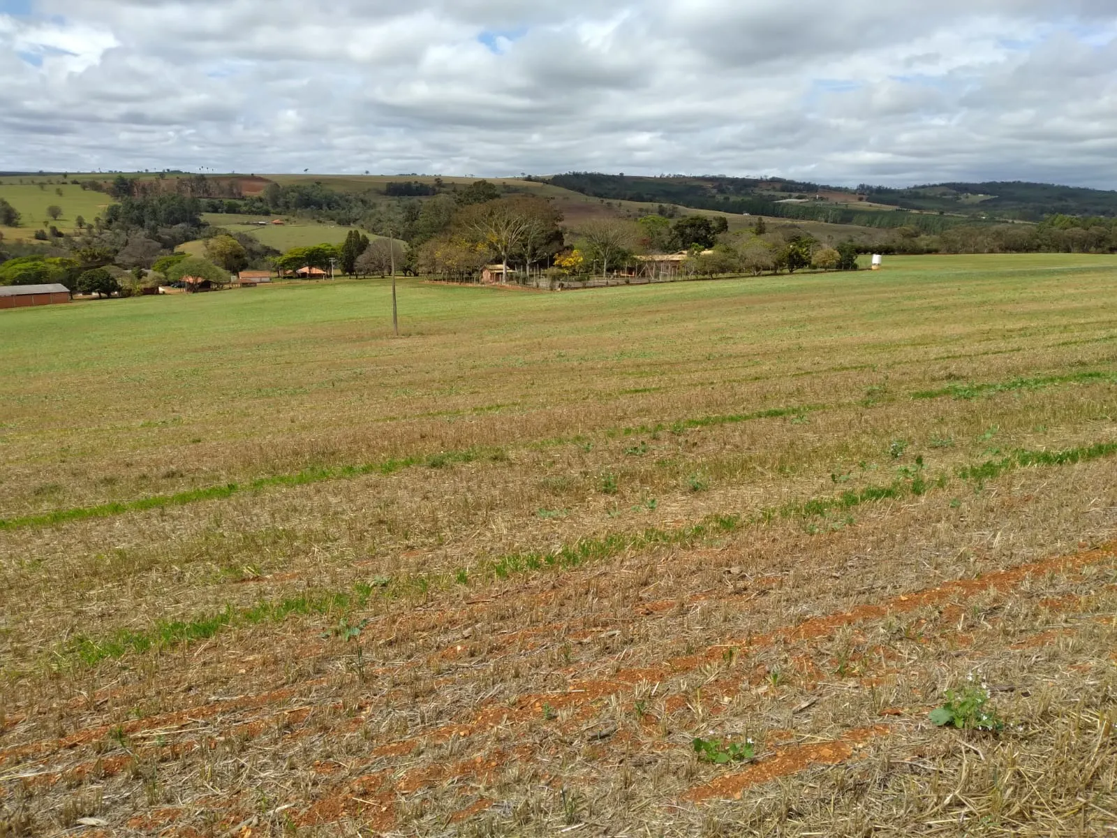 Small farm for sale of 155 acres in Tatuí, SP, Brazil