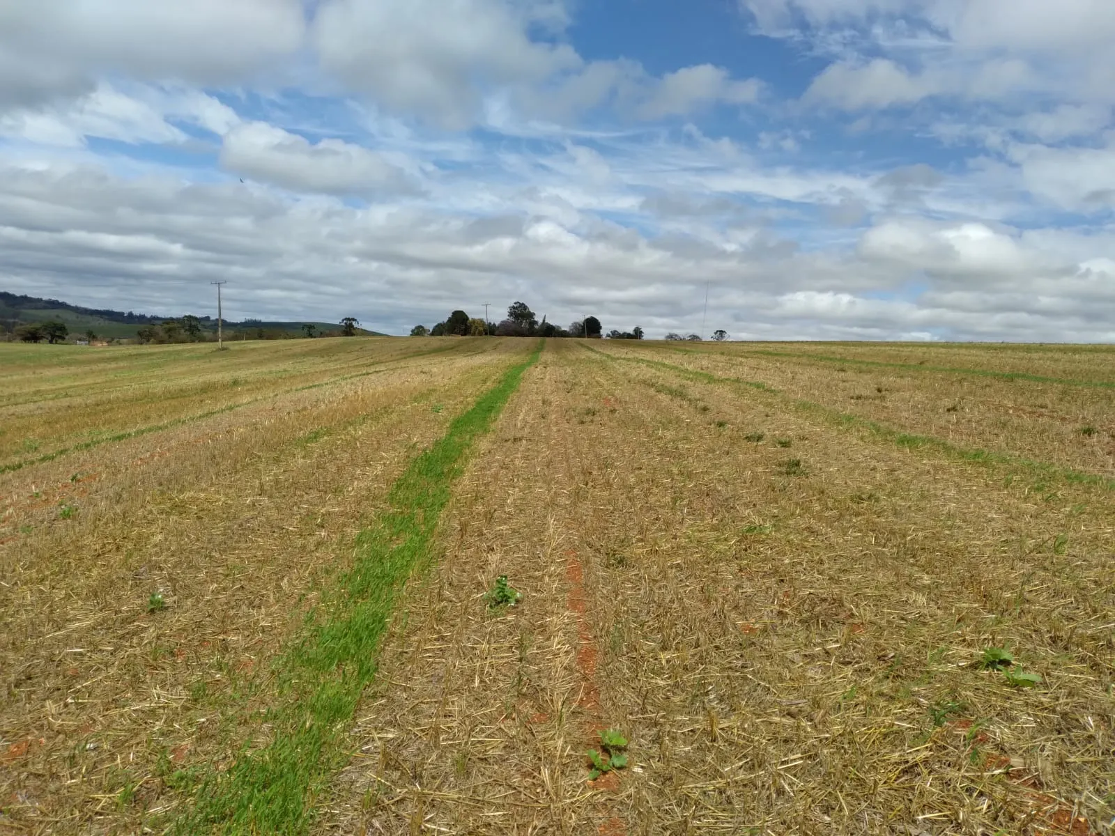 Small farm for sale of 155 acres in Tatuí, SP, Brazil