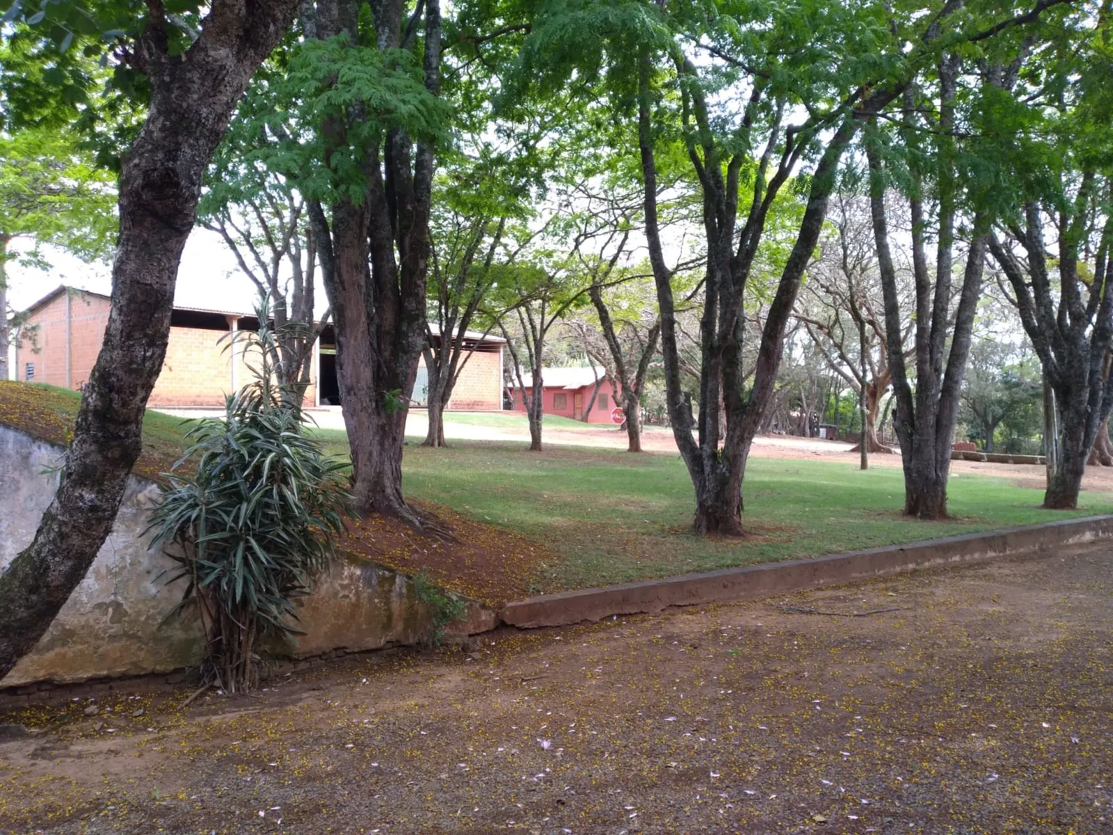 Small farm for sale of 155 acres in Tatuí, SP, Brazil