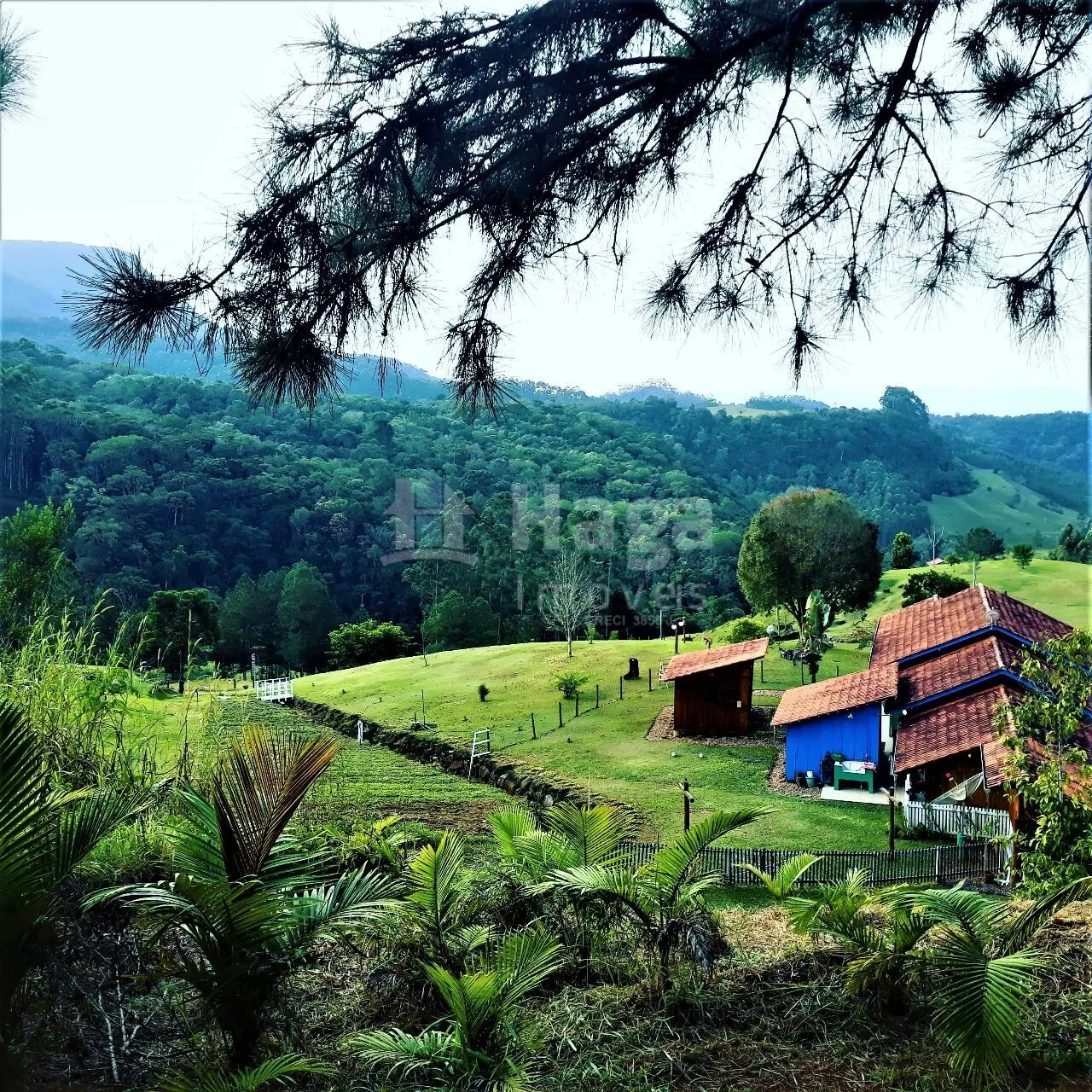 Fazenda à venda e para Arrendar de 20 ha em Ibirama, SC, Brasil