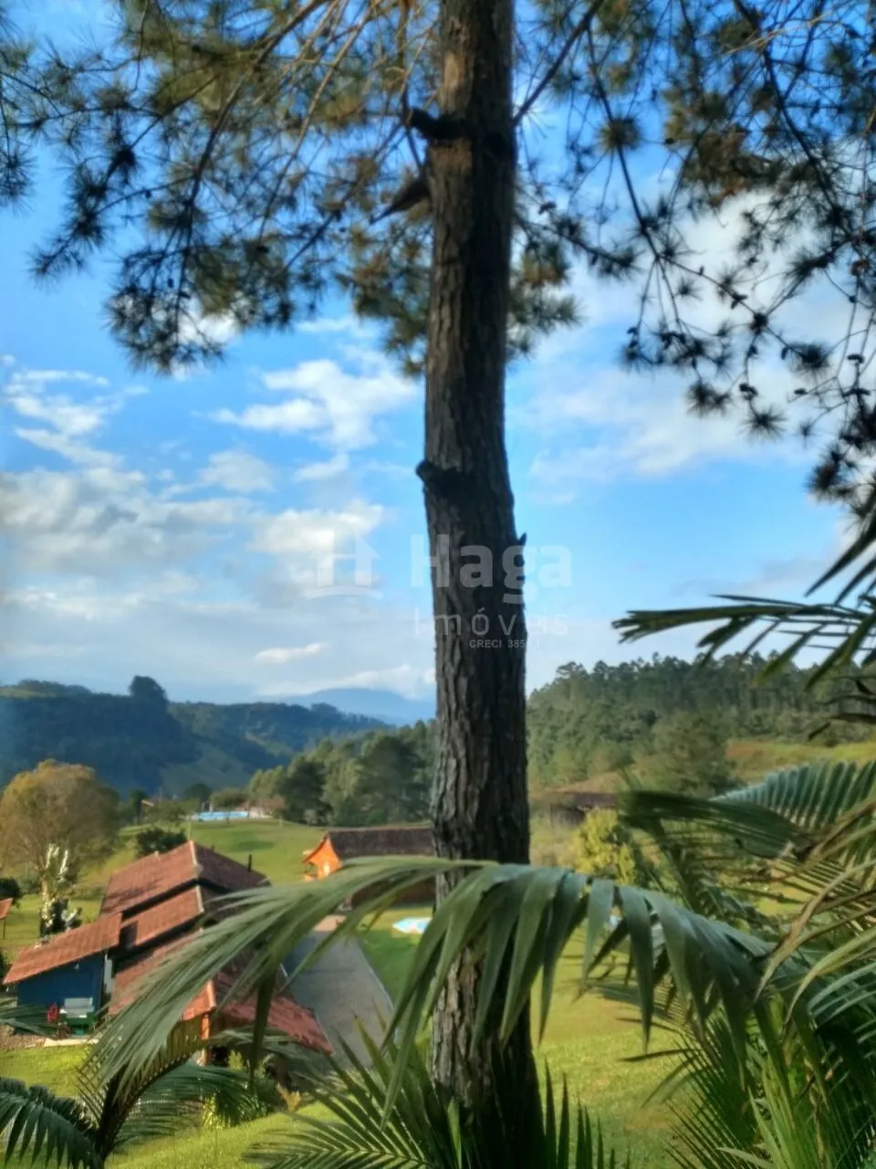 Farm for sale and to rent of 49 acres in Ibirama, SC, Brazil