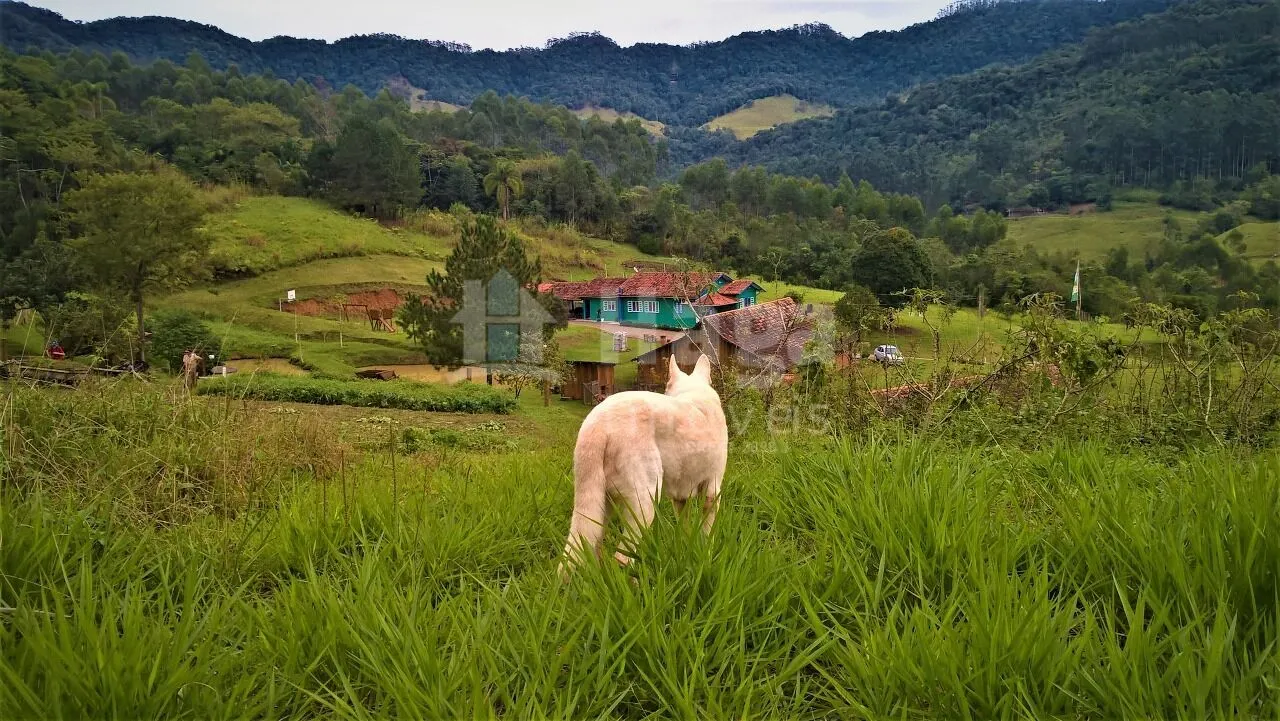Farm for sale and to rent of 49 acres in Ibirama, SC, Brazil