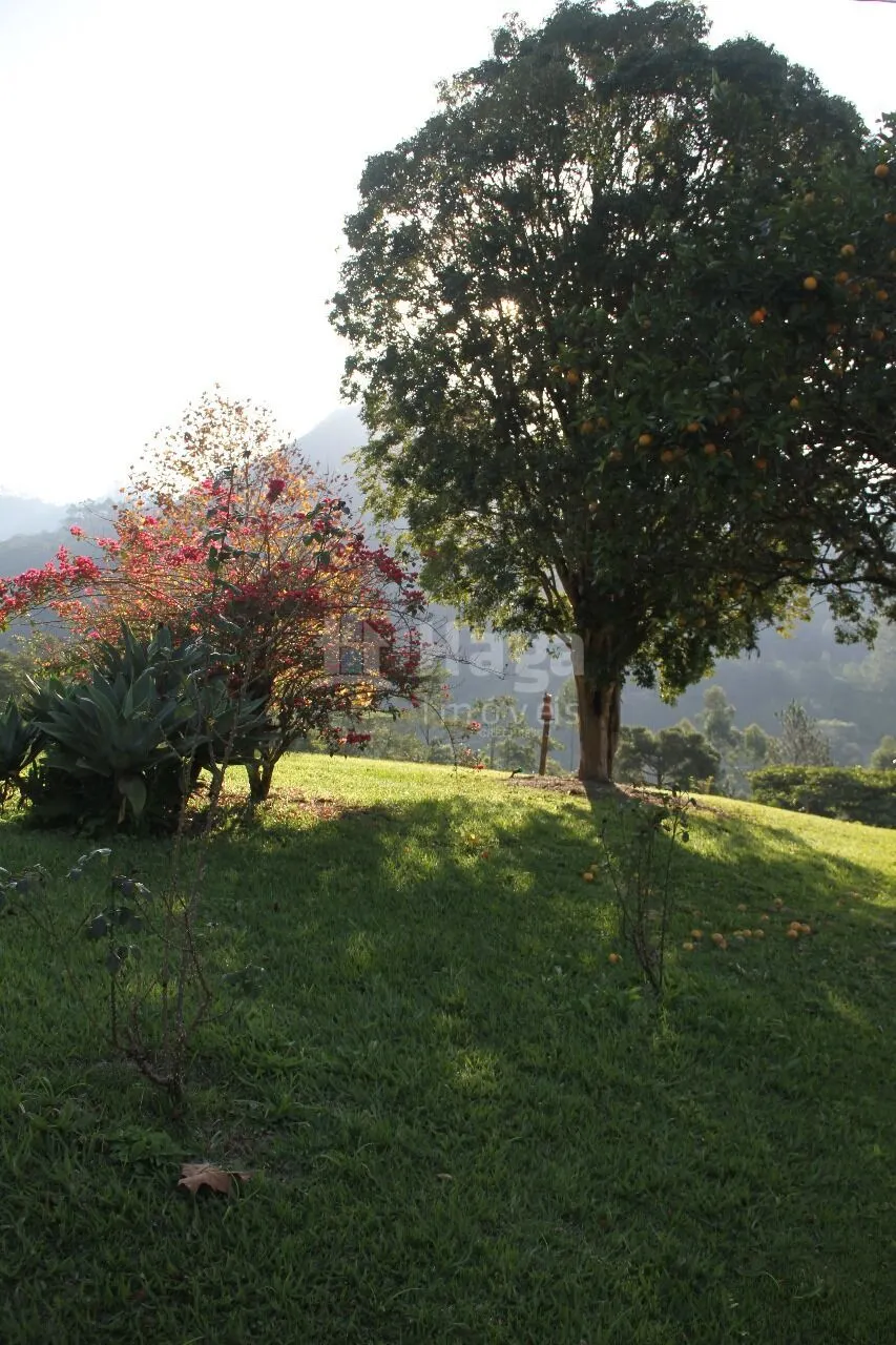 Farm for sale and to rent of 49 acres in Ibirama, SC, Brazil