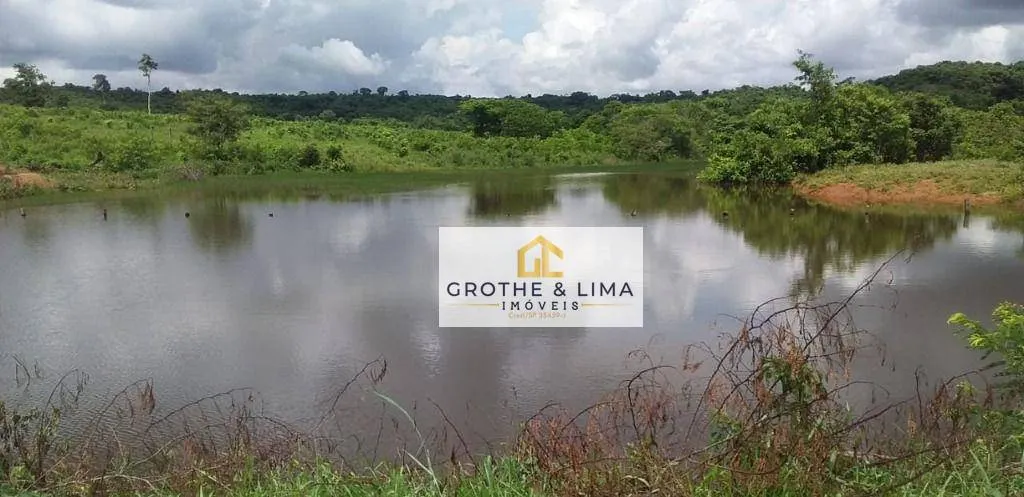 Farm for sale of 3,110 acres in Araguaína, TO, Brazil