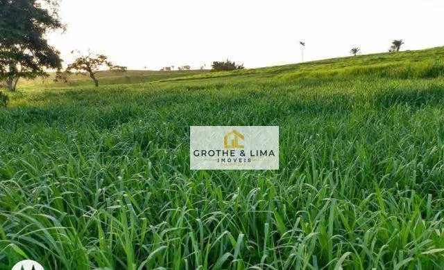 Farm for sale of 3,110 acres in Araguaína, TO, Brazil