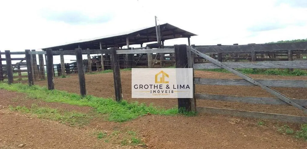 Farm for sale of 3,110 acres in Araguaína, TO, Brazil