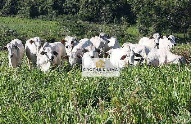 Farm for sale of 3,110 acres in Araguaína, TO, Brazil