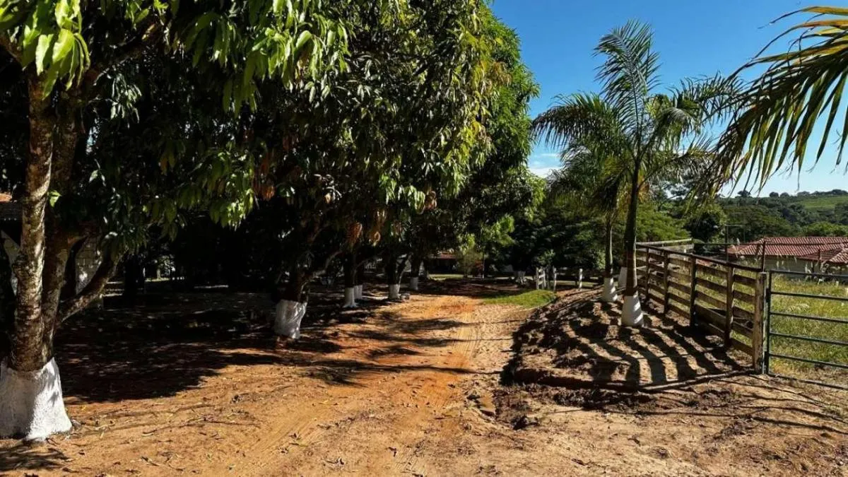 Sítio à venda de 8 ha em Mococa, SP, Brasil