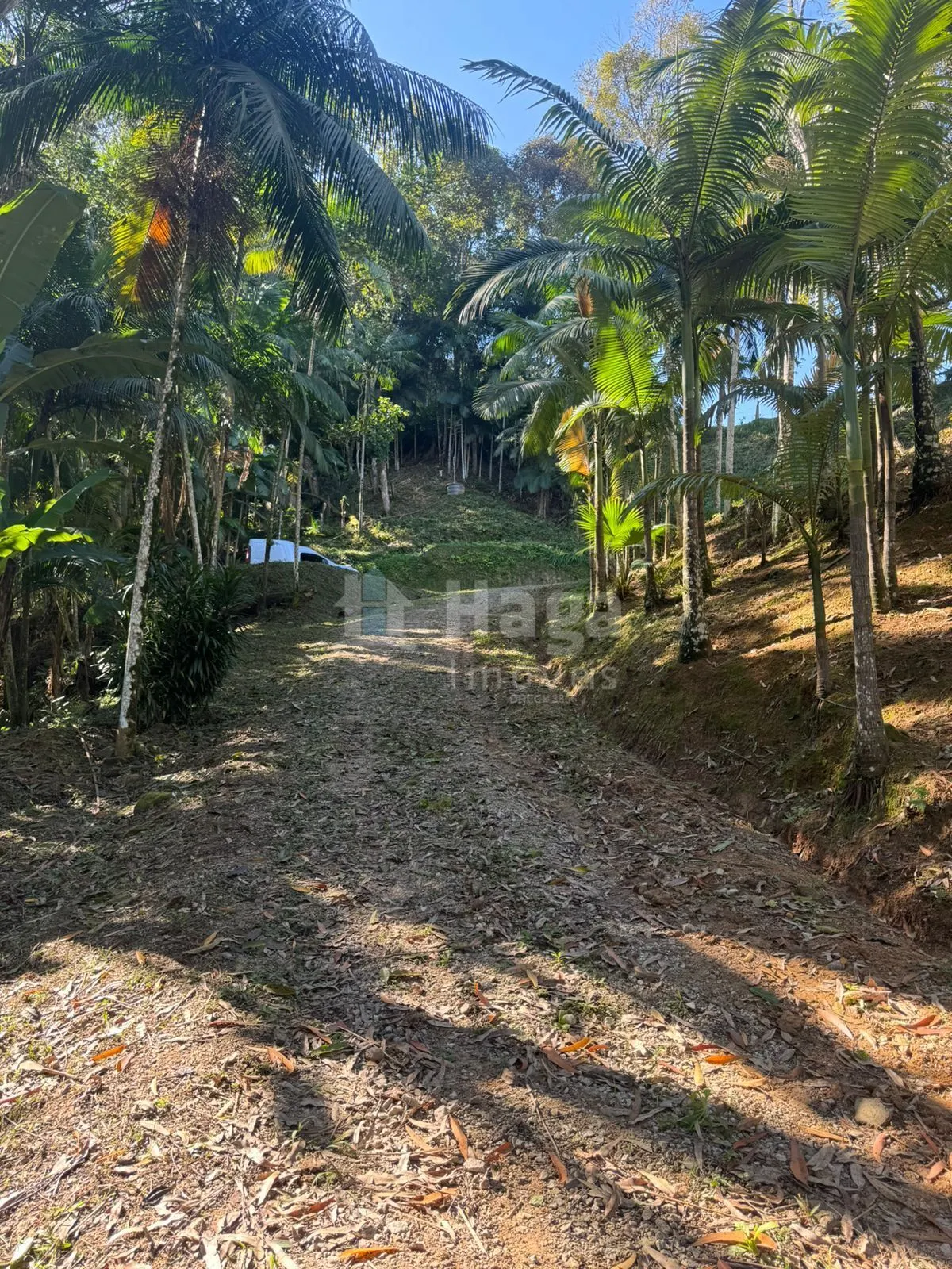 Fazenda à venda de 3.500 m² em Brusque, SC, Brasil