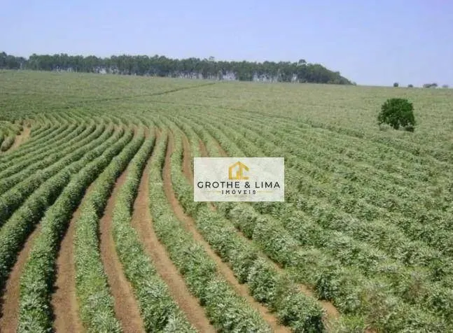 Fazenda à venda de 530 ha em Piumhi, MG, Brasil