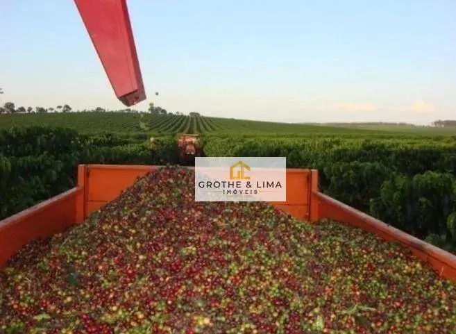 Fazenda à venda de 530 ha em Piumhi, MG, Brasil