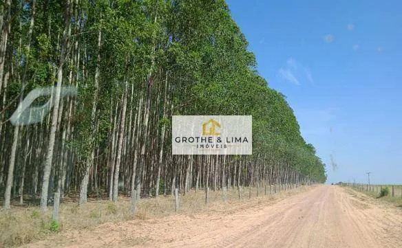 Fazenda à venda de 169.400 ha em Araguaína, TO, Brasil