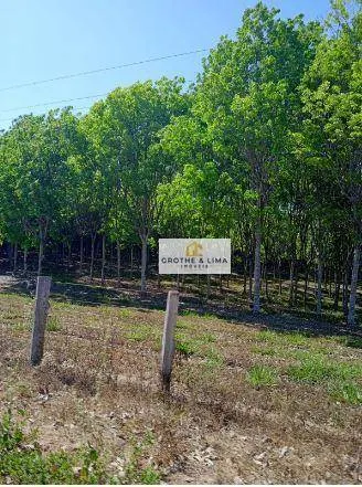 Fazenda à venda de 169.400 ha em Araguaína, TO, Brasil