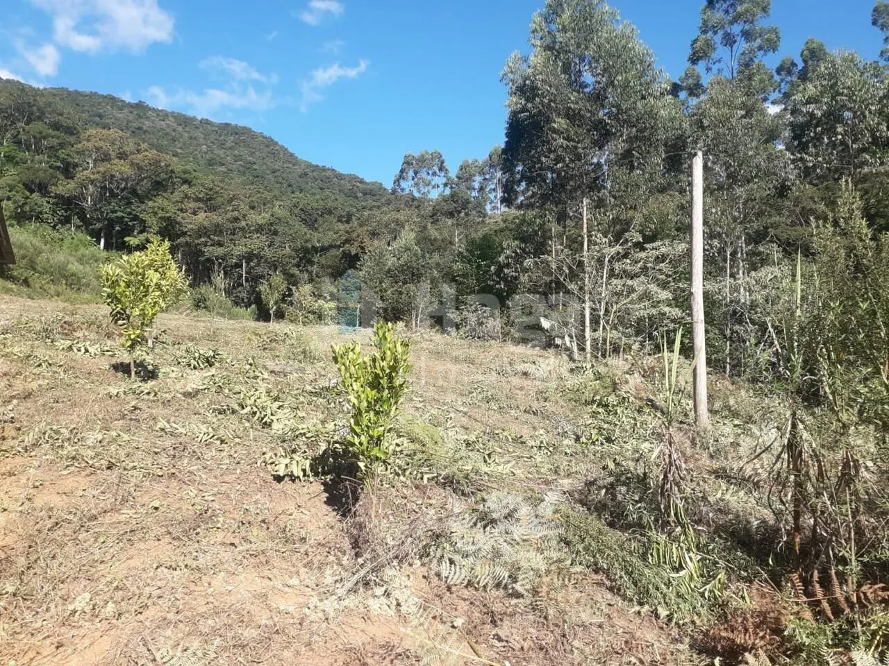 Chácara à venda de 4 ha em Nova Trento, SC, Brasil