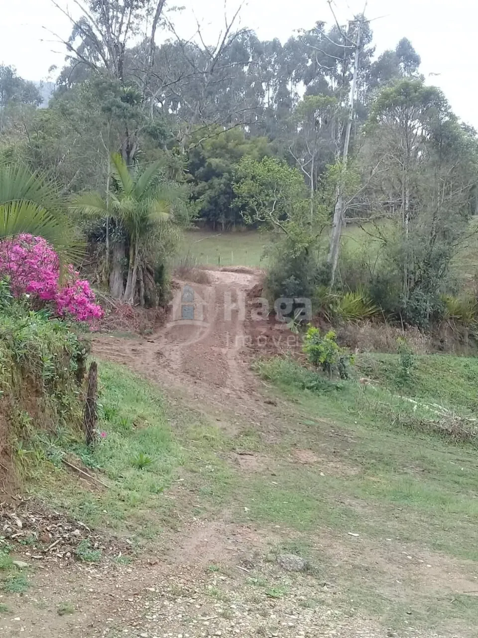 Chácara à venda de 4 ha em Nova Trento, SC, Brasil